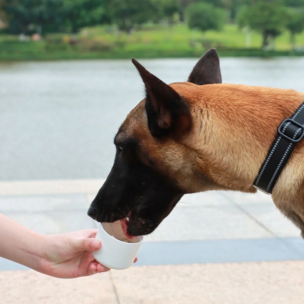 BergPfote Outdoor-Trinkflasche für Hunde